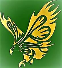 Logo für Goldeneagles Flagfootball Verein